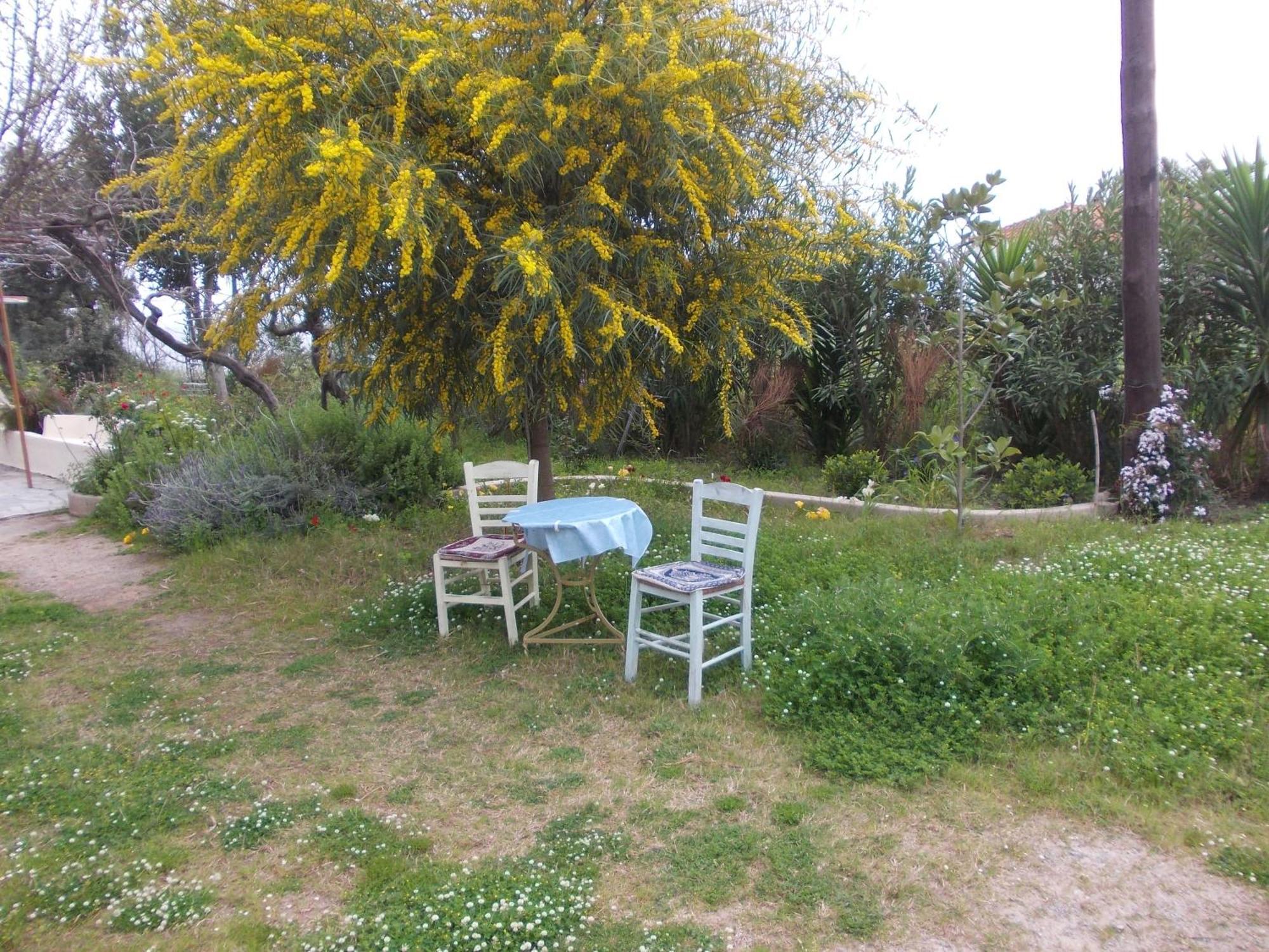 Kassimiotis Aparthotel Agios Andreas  Exterior foto